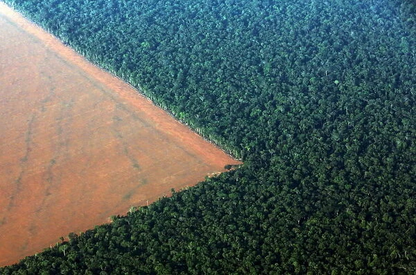 The Amazon rain forest (R), bordered by deforested land prepared for the planting of soybeans