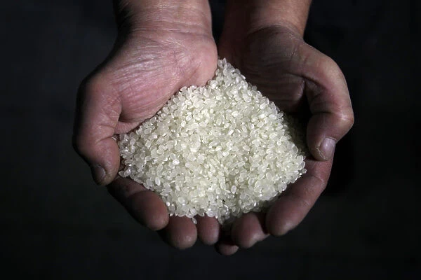 A chef poses with a handful of rice inside a restaurant in Taipei