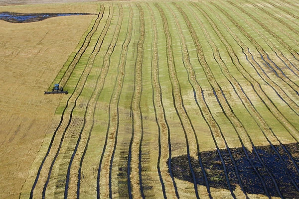 Farm tractor works a wet field in southern Manitoba