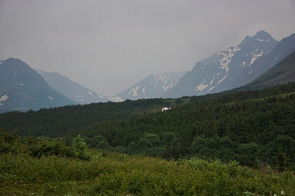 A general view of the mountain valley obscured by smoke taken from the Glen Alps