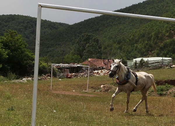 A horse plays with a ball at a soccer field in the village of Nerodime