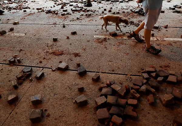 A man carrying a pet dog walks past stones thrown by anti-government protesters in Hong