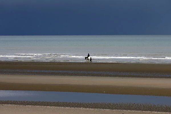 A man rides a horse along a beach in the seaside town of Zeebrugge