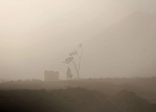 A man walks next to a tree during a dust storm in Kabul, Afghanistan