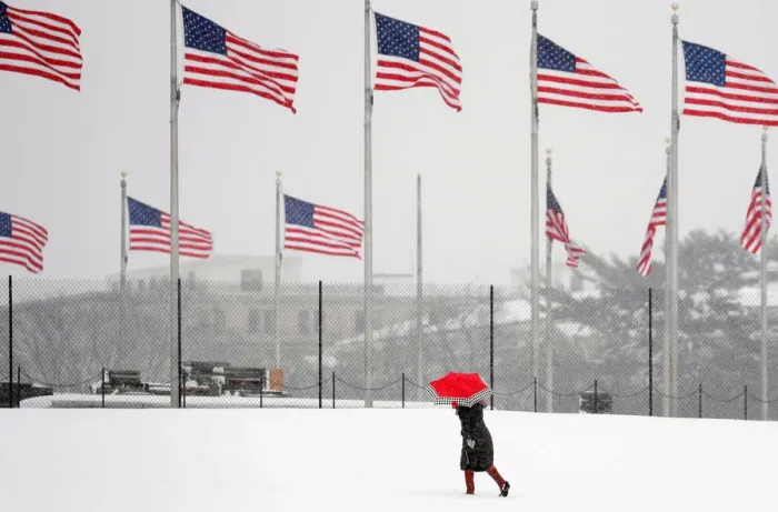 Framed Print : Spring snowfall in Washington, D.C. Print Framed Print : Spring snowfall in Washington, D.C. Print
