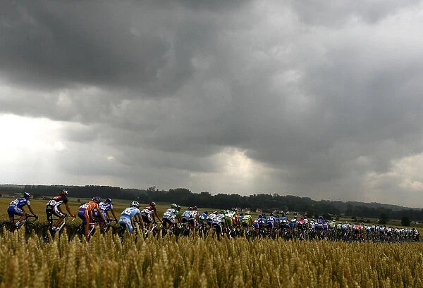 The pack of riders cycles past fields during the 5th stage of the Tour de France 2006