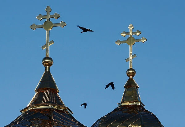 Ravens fly past the crosses of an Orthodox church in the town of Mstislavl
