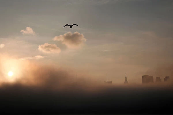 A seagull flies above the fog-shrouded skyline of New York City