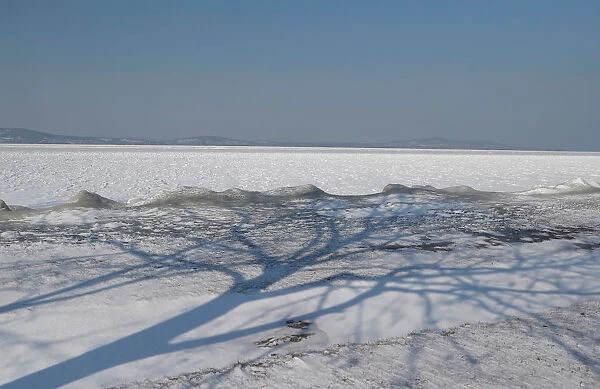 The shadow of a tree is seen during a winter day on the shore of Lake Balaton in Fonyod