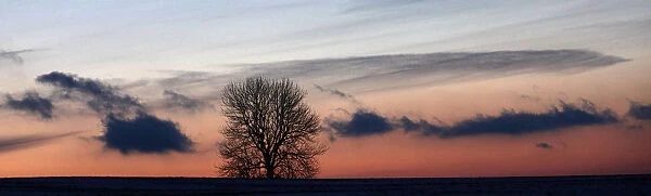The sun sets behind a lone tree in a field near the eastern Bohemian village of Rovne