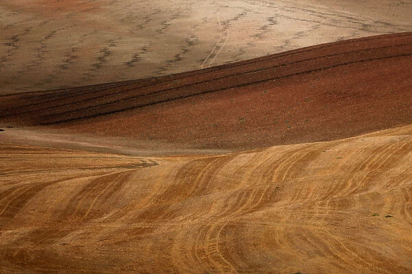 Tire marks of a harvester are seen on a freshly harvested field during a strong drought