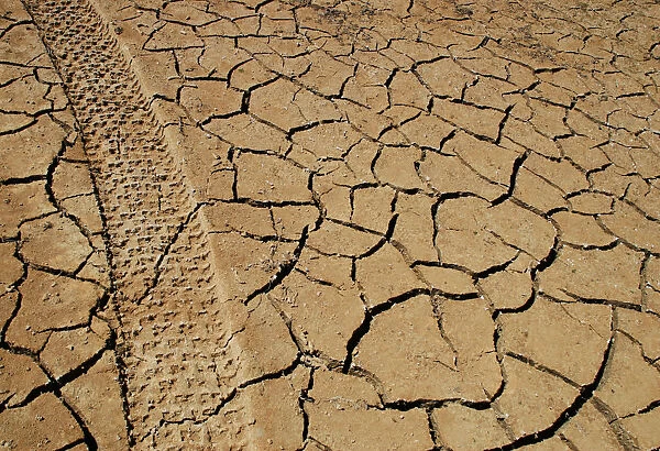 Tracks left by a vehicle remain on the cracked earth of the drought-stricken Entrepenas