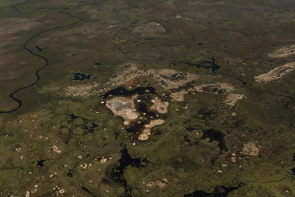 Trees stand on islands as water begins to fill the Okavango Delta
