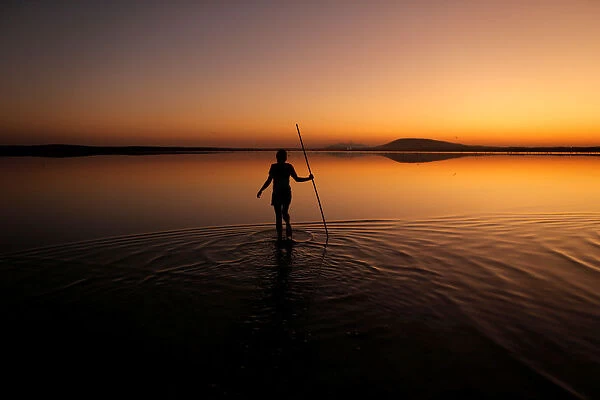A volunteer wades across the lagoon at dawn to gather flamingo chicks and place them