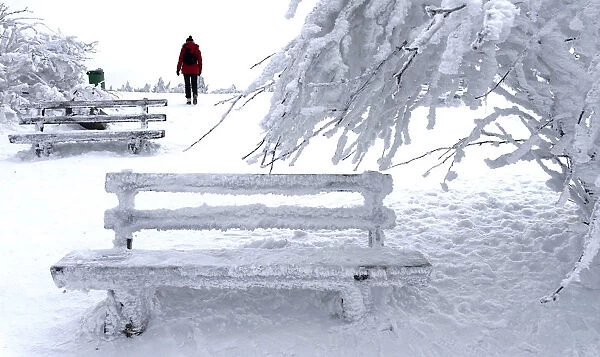 A woman walks past snow and ice covered trees and benches on top of the Feldberg mountain