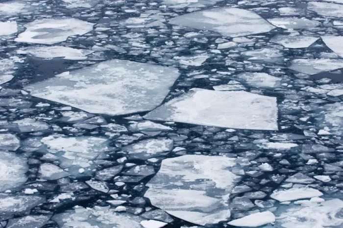 Framed Print : Weddell Sea Brash Ice Print Framed Print : Weddell Sea Brash Ice Print