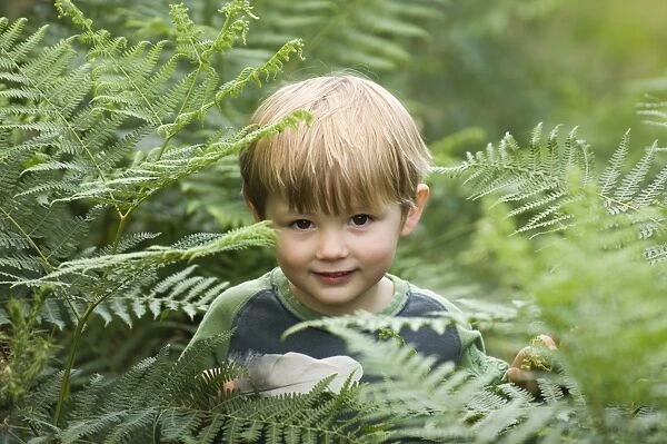 Young boy (3) peering through bracken in summer Norfolk UK