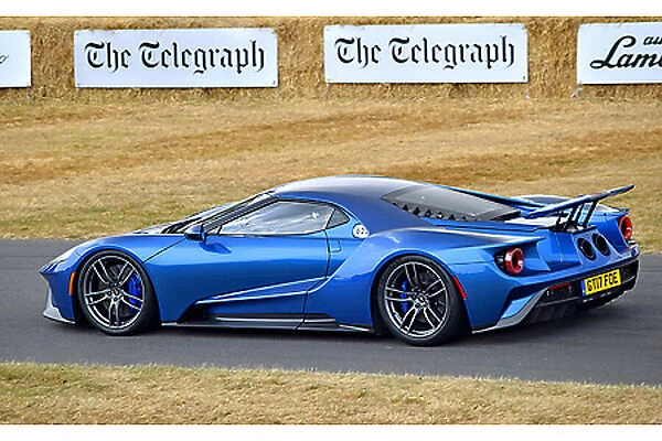 Ford GT (at G wood FOS 2018) 2018 Blue