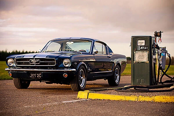Ford Mustang 302, 1965, Blue, white stripes