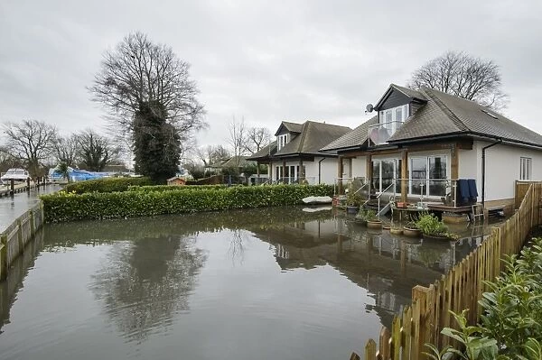 Floodwater in house garden during river flood, River Thames, Chertsey, Surrey, England, February 2014