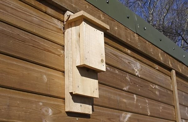 Insect box fixed to hide, Lackford Lakes Nature Reserve, Suffolk, England, march
