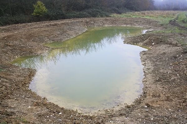 Newly dug pond at edge of arable farmland, Millenium Ponds Project, Grove Farm Reserve, Thurston, Suffolk, England