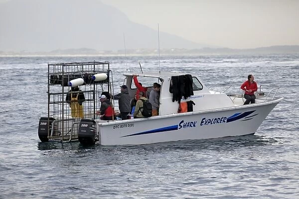 Shark Explorer shark watching boat with dive cage, Simonstown, Western Cape, South Africa, June