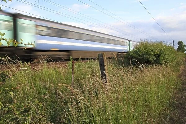 Tall grass growing in wasteground habitat between edge of railway track with passing train and arable field, Bacton, Suffolk, England, june