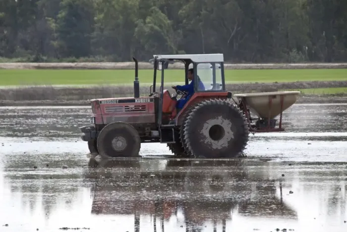 Framed Print : Tractor in Paddy Field Print