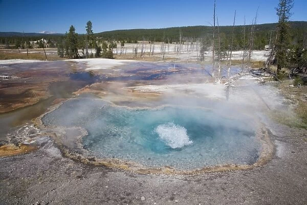 View of hotsprings, Firehole Spring, Lower Geyser Basin, Yellowstone N. P. Wyoming, U. S. A. September