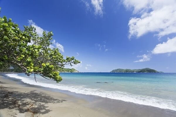 View of sandy beach, looking towards Little Tobago, Speyside, Tobago, Trinidad and Tobago, November