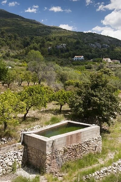 Water storage for almond and citrus orchard, Costa Blanca, Alicante Province, Valencia, Spain, May