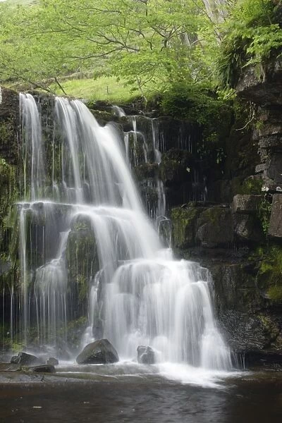 Waterfall on stream, East Gill Force, Keld, Swaledale, Yorkshire Dales N. P. North Yorkshire, England, june