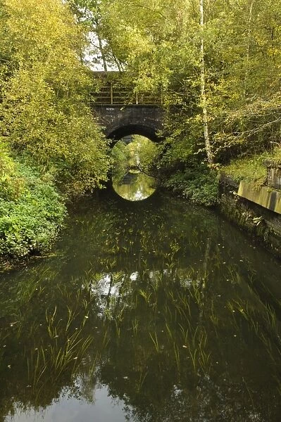 Waterway flowing under railway bridges, Mother Drain, Potteric Carr Nature Reserve, South Yorkshire, England, October