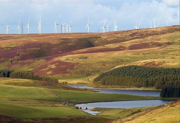 Wind turbines on hill above reservoir, Whiteadder Reservoir, Lammermuir Hills, Scottish Borders, Scotland, september