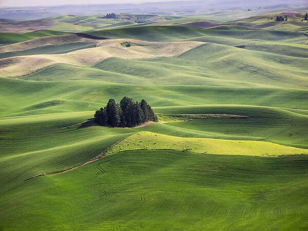 Aerial view of Palouse Region