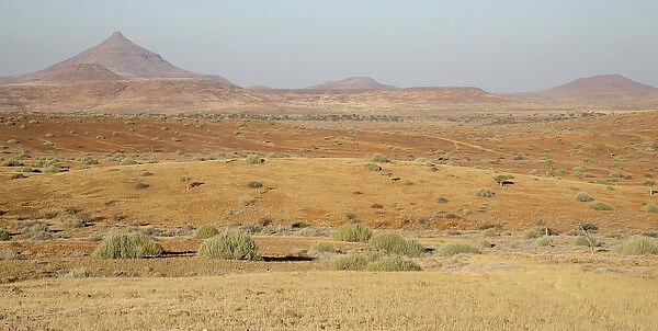 Africa, Namibia, Namib Desert, Damaraland