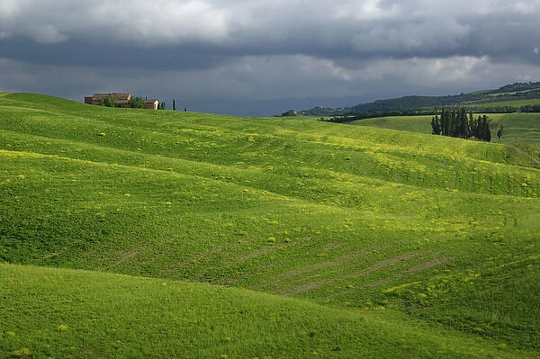 Agricultural region of Tuscany, Italy