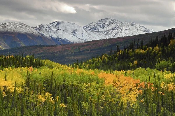Alaska Range in Autumn; Taiga; Tundra; Denali National Park; Alaska; USA