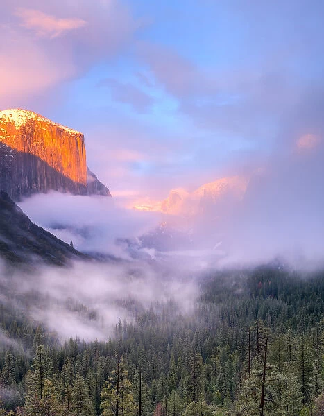 Alpenglow. Sunset colors the top of El Capitan. Yosemite, California, USA