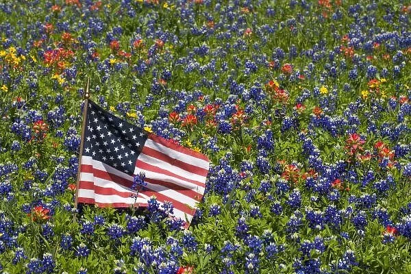 American Flag in field of Blue Bonnets, Paintbrush Texas Hill Country