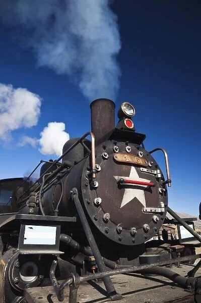 Argentina, Chubut Province, Nahuel Pan. La Trochita narrow gauge steam train, Old