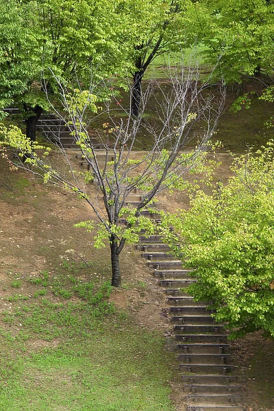Asia, Japan, Heguri-cho. Stairway in a park
