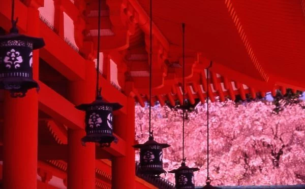 Asia, Japan, Kyoto, Heian shrine in spring. Shinto