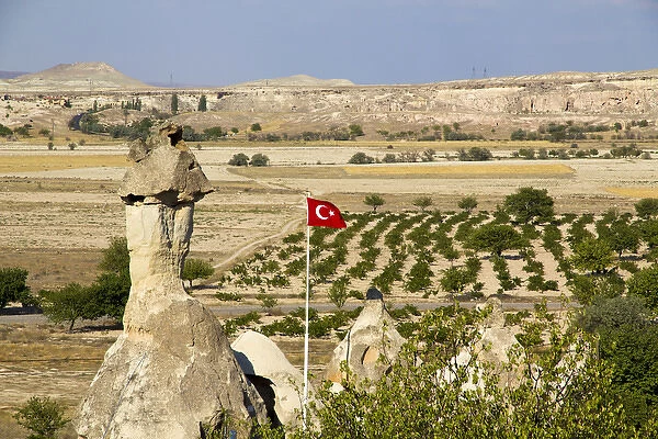 Asia, Turkey, Cappadocia. Turkish flag is flying over Pomegranate orchards