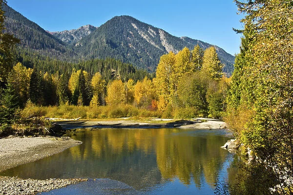Autumn foliage, White River, Wenatchee National Forest, Washington State, USA