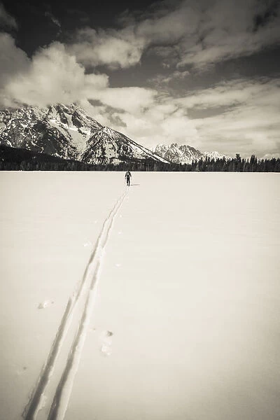 Backcountry skier under Mount Moran, Grand Teton National Park, Wyoming USA