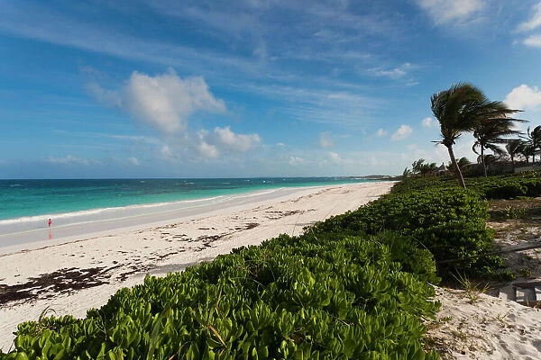 Bahamas, Eleuthera Island, Harbour Island, Pink Sands Beach