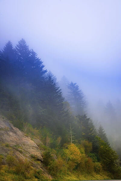 Blue Ridge Parkway vista, Smoky Mountains, USA
