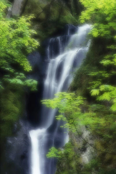 Canada, British Columbia, Langford. Waterfall montage at Goldstream Provincial Park